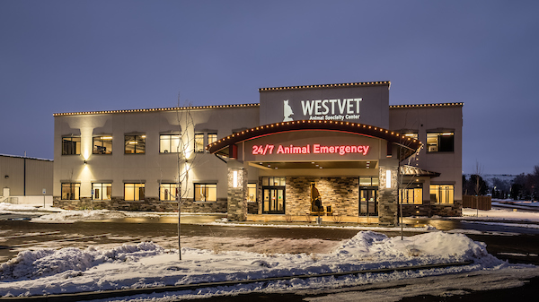 Logo for WestVet 24 Hour Animal Emergency & Specialty